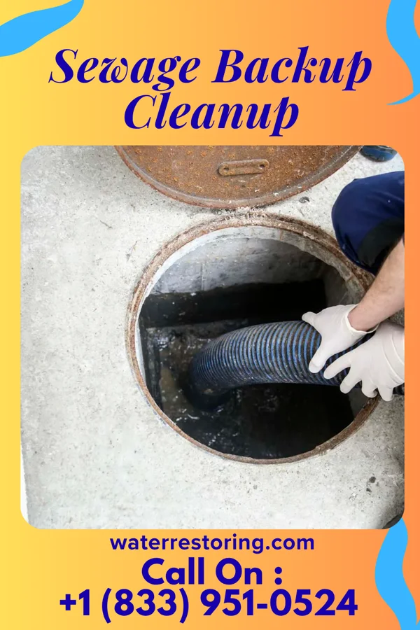 Sewage Backup Cleanup in Pecos, NM